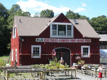 Holbrook's Farm