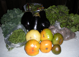 csa_2008-09-16