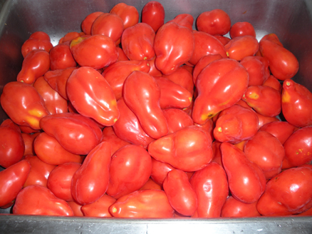 sport_hill_tomatoes